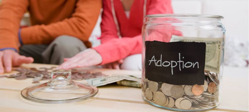 Adoption Costs