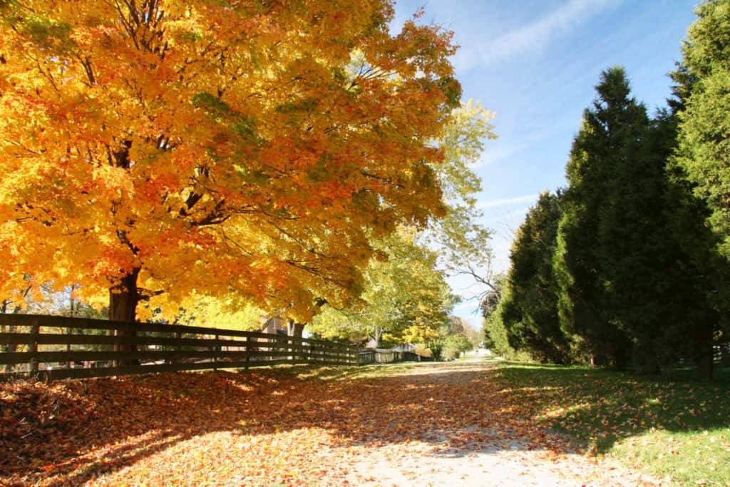 Ohio